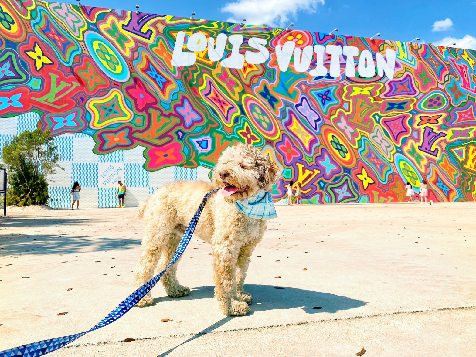 Dog-Friendly Tour of Miami Design District – Rye Lee and Me
